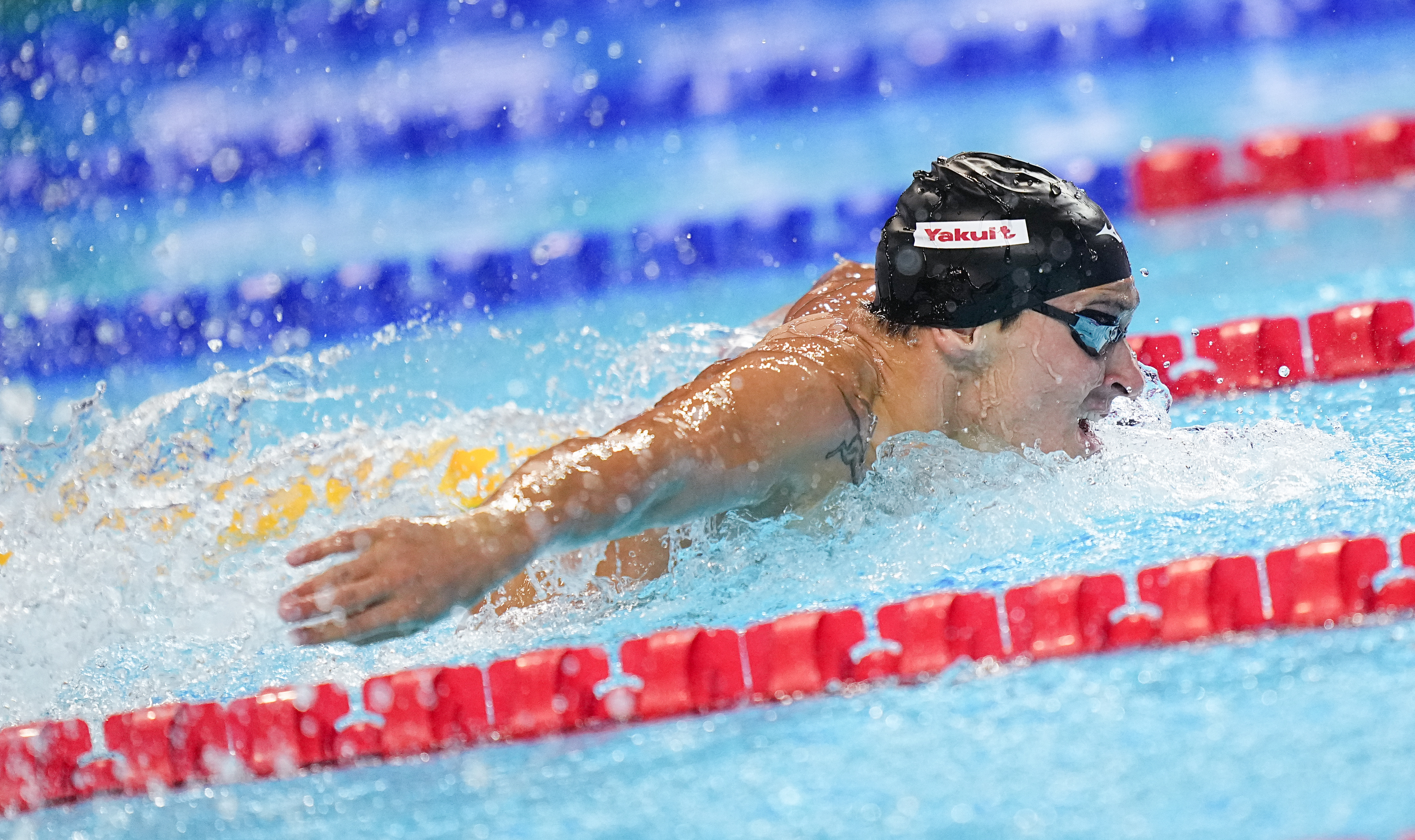 游泳赛事精彩瞬间盘点，年度回顾震撼登场的简单介绍