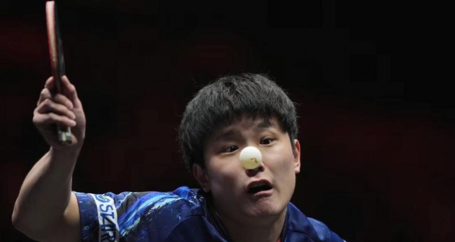 包含日本队碾压中国队，张本智和扛起全队的词条