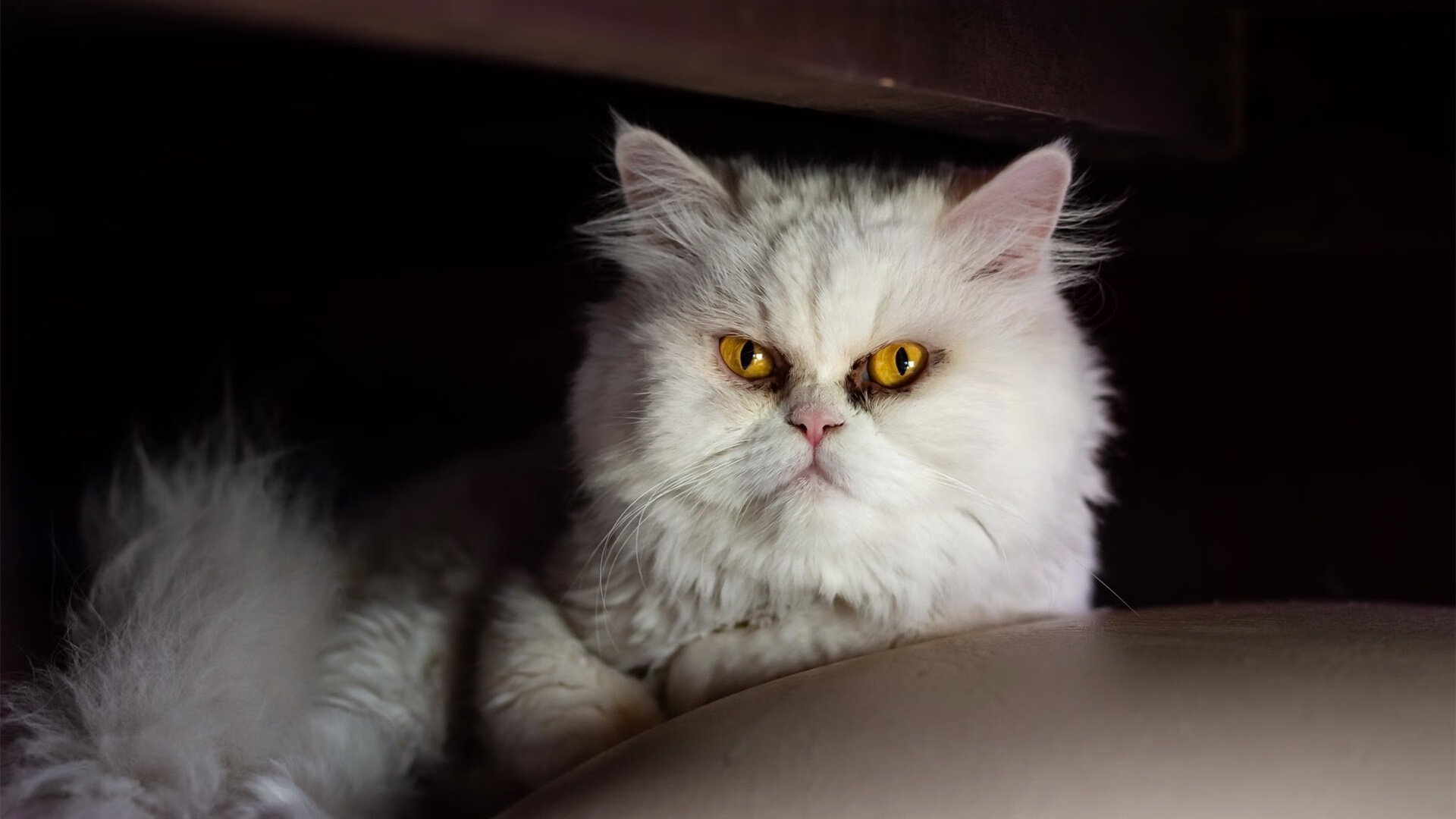 孤星长啸,群狼噬金,乔治绝境封神背后的开拓者全面压制哲学