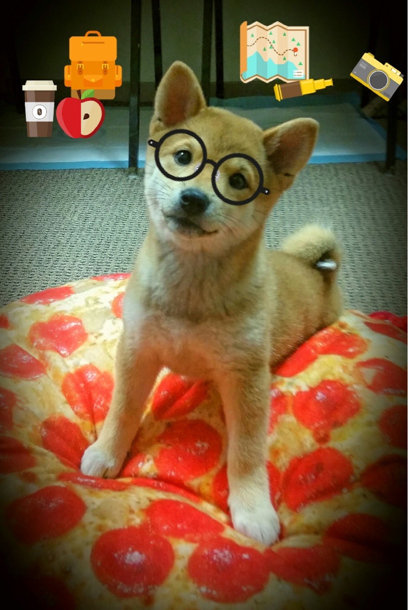 这就是焦点的引力，当亚平宁风雪遇见丹佛高原，唯一性在韧性的土壤里生长