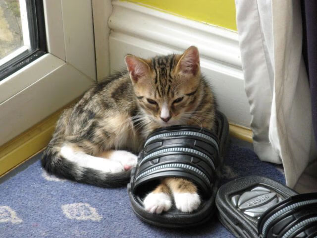 从深渊到天堂，拉亚的救赎之夜，那不勒斯闪电击溃AC米兰