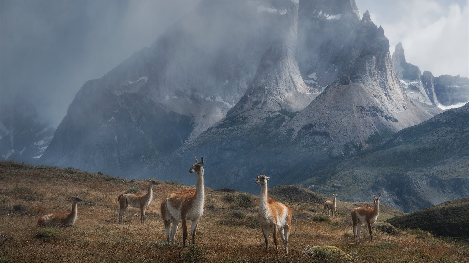 钢铁与黄沙,当霍勒迪的锋利切入山西队的迷沙之境