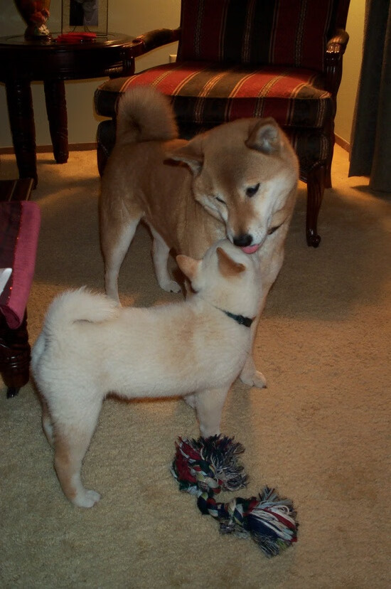 当巴黎铁塔矗立珠江畔，文班亚马如何在一夜之间重塑中国篮球的认知版图