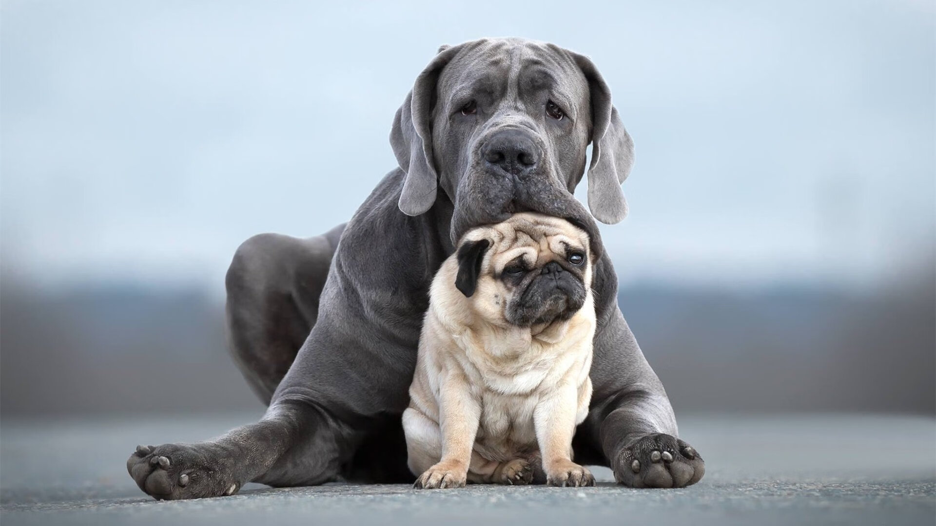 钢铁洪流与钱塘江潮的碰撞,独行侠撕裂浙江,利拉德在何处投射出绝杀?