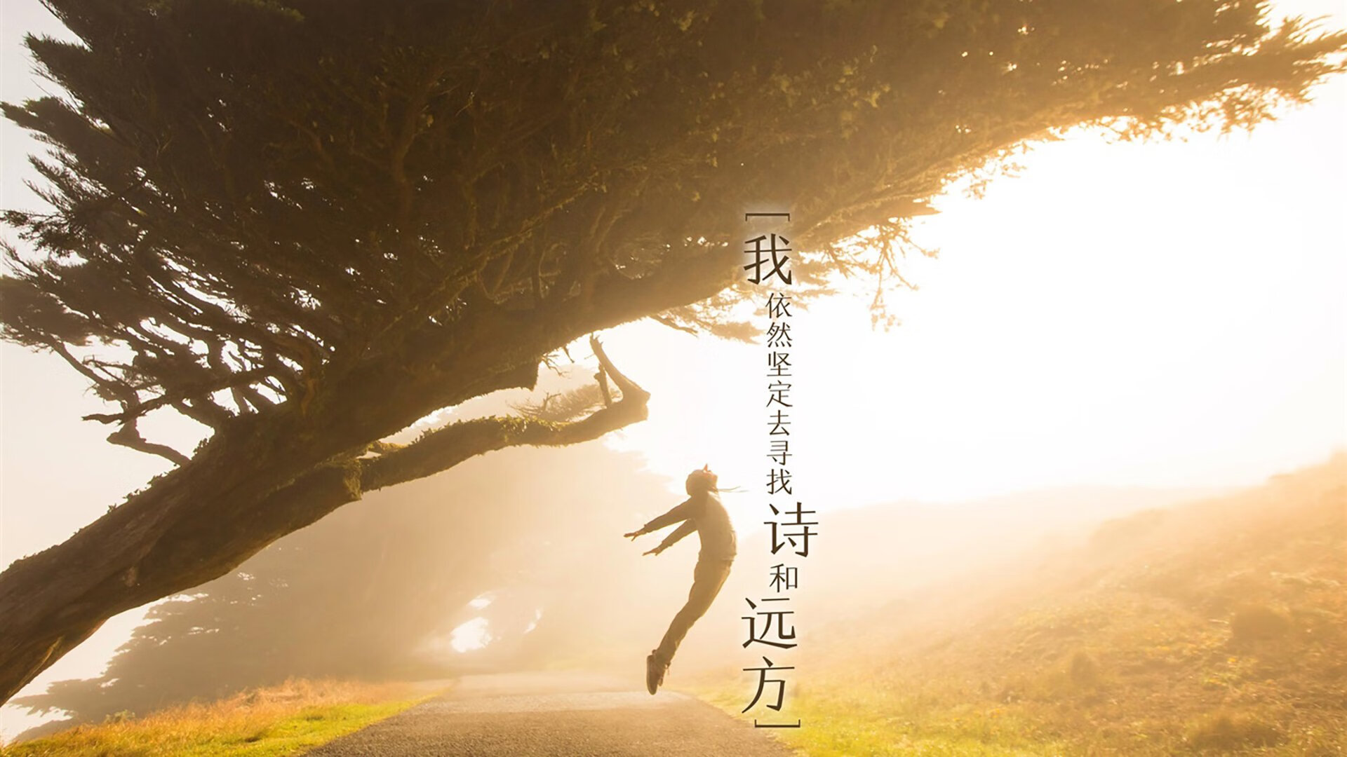 时空交错的足球启示,当国王遇见平民,足球的永恒真相