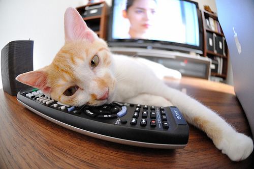 情歌球场，最后的理想主义者与欧洲豪门的现实鏖战