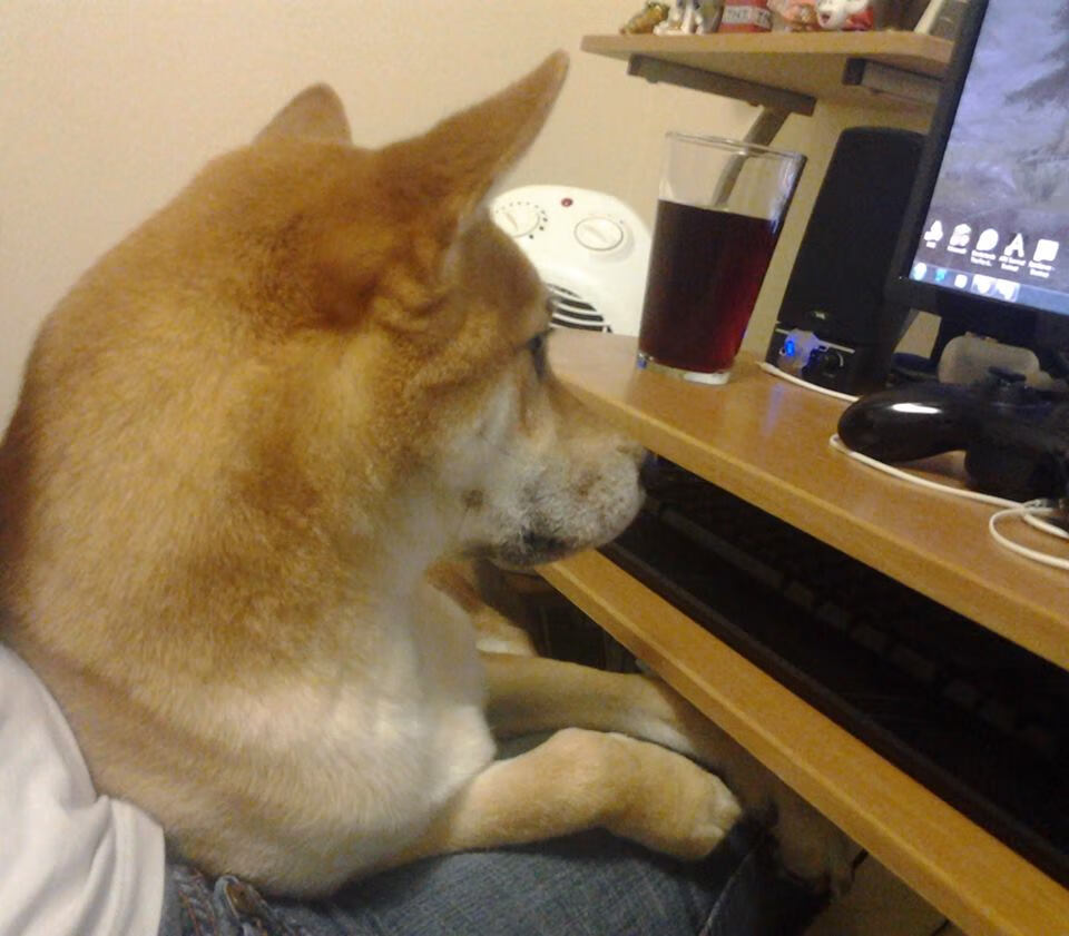 史诗之夜，范弗利特用不可能的得分狂潮，改写世界排名争夺战