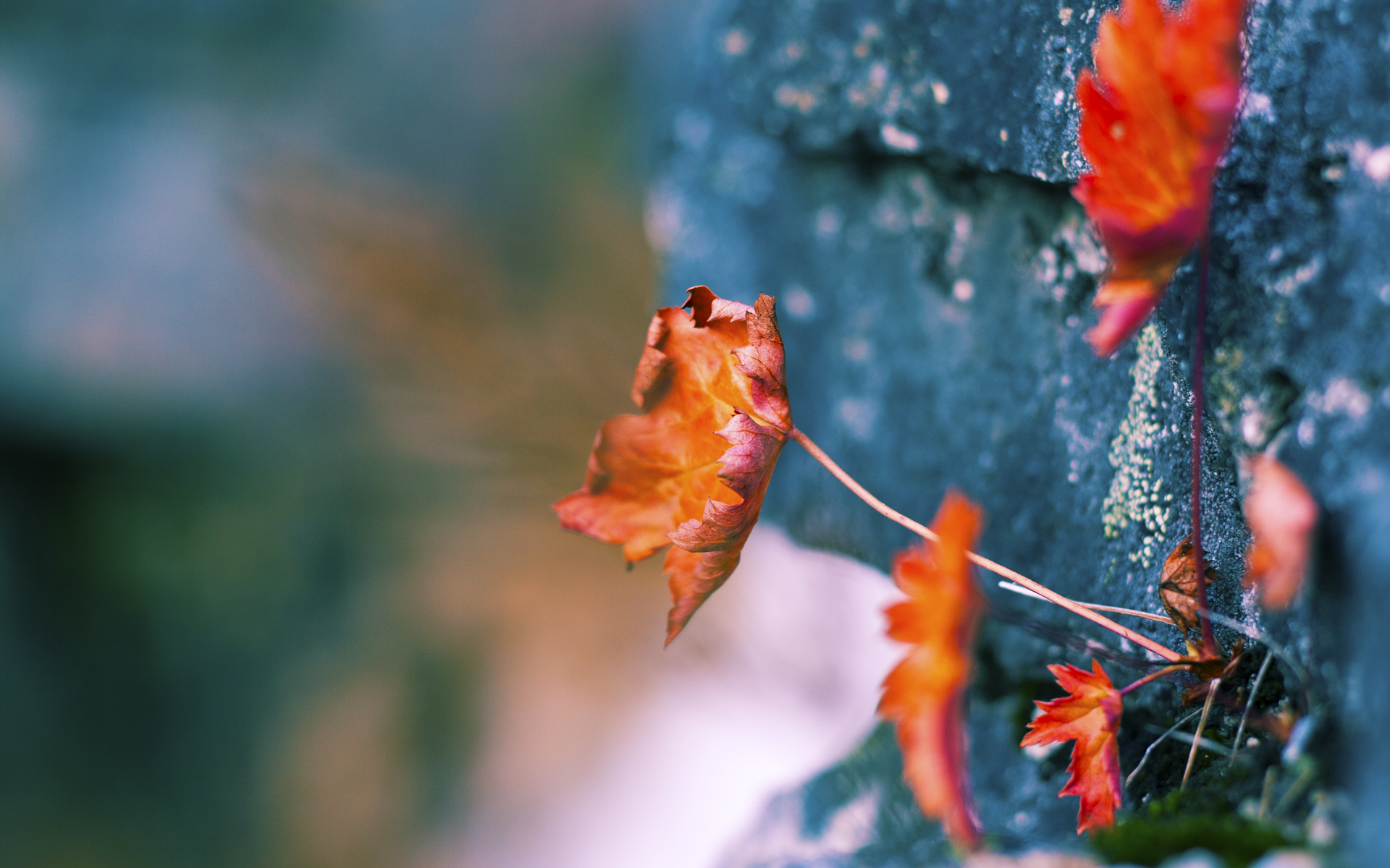 王牌对王牌，格林鏖战字母哥，一战打出巨星证言