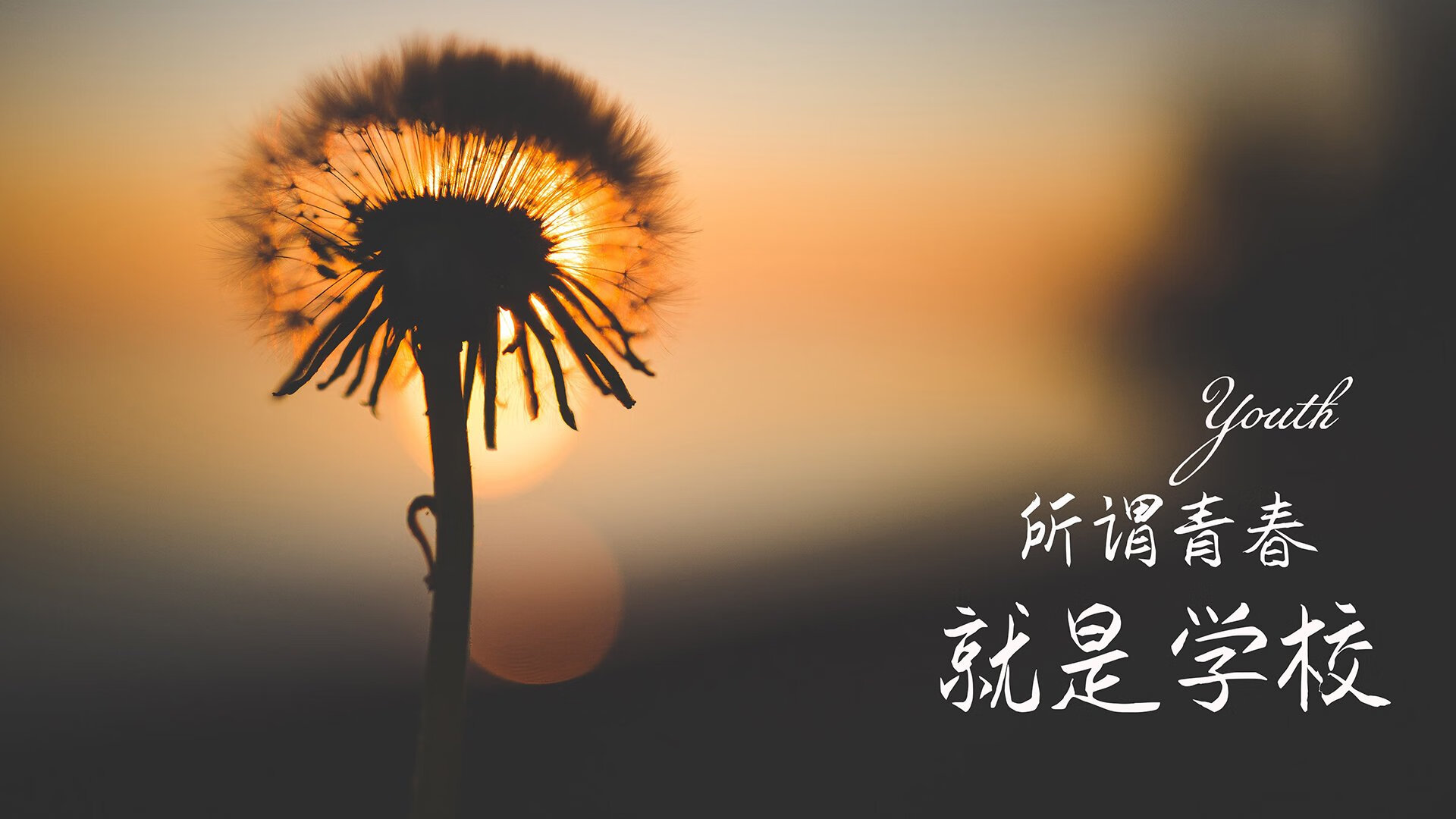 我为你构思了三个不同风格的标题,它们都围绕核心关键词展开,但侧重点各有不同