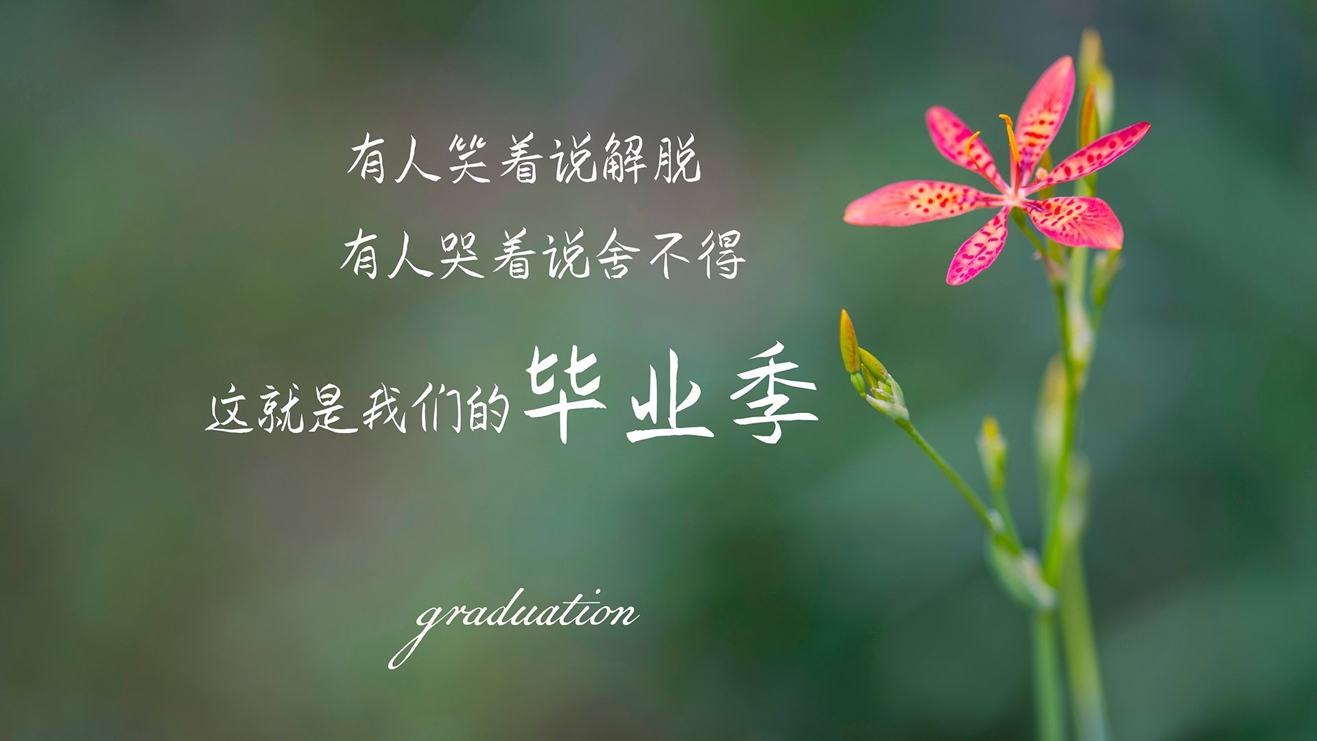 当矛与盾共舞,一场不存在的世界杯争冠战中,拉什福德用绝杀书写了唯一的历史