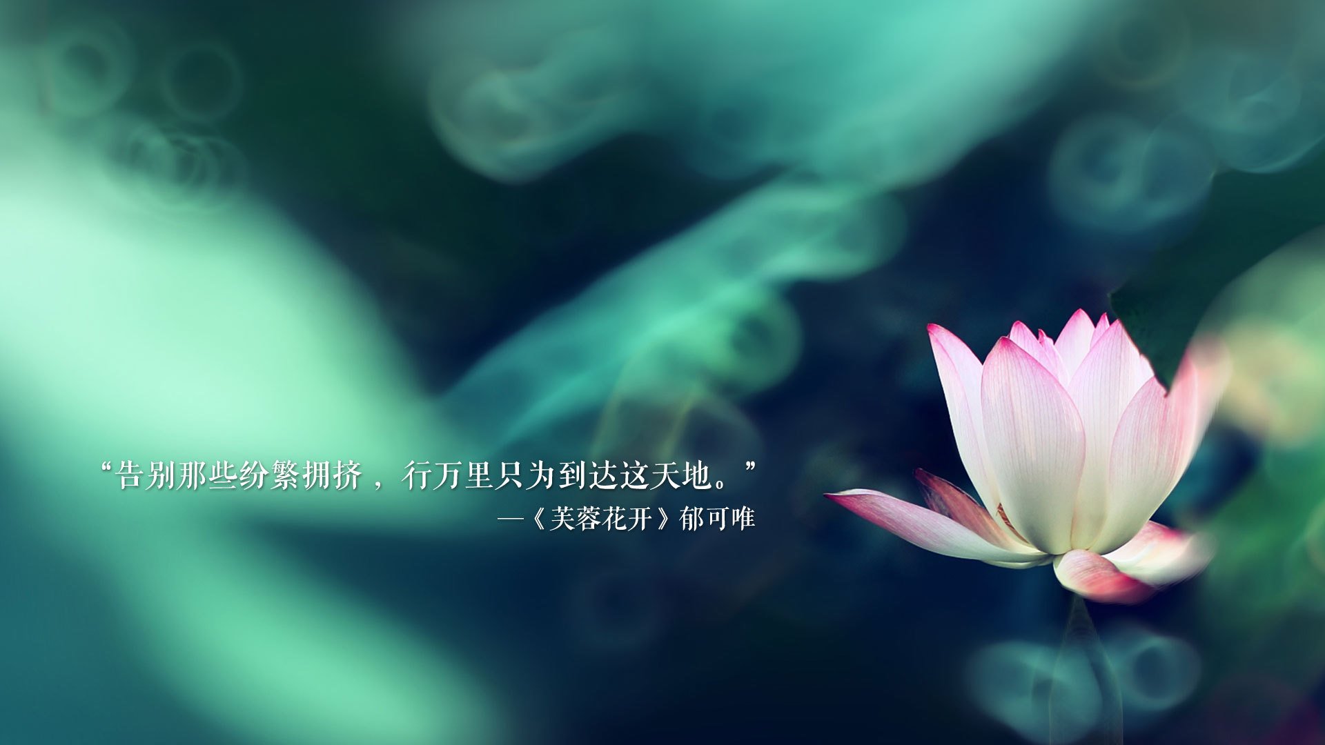 极昼之矛刺破热浪,布罗佐维奇化身北欧魔术师,瑞典补时绝杀泰国引爆B组悬念