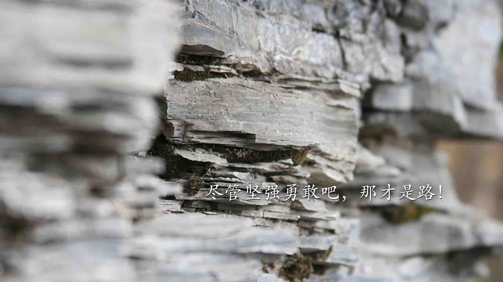 极昼之矛刺破热浪,布罗佐维奇化身北欧魔术师,瑞典补时绝杀泰国引爆B组悬念