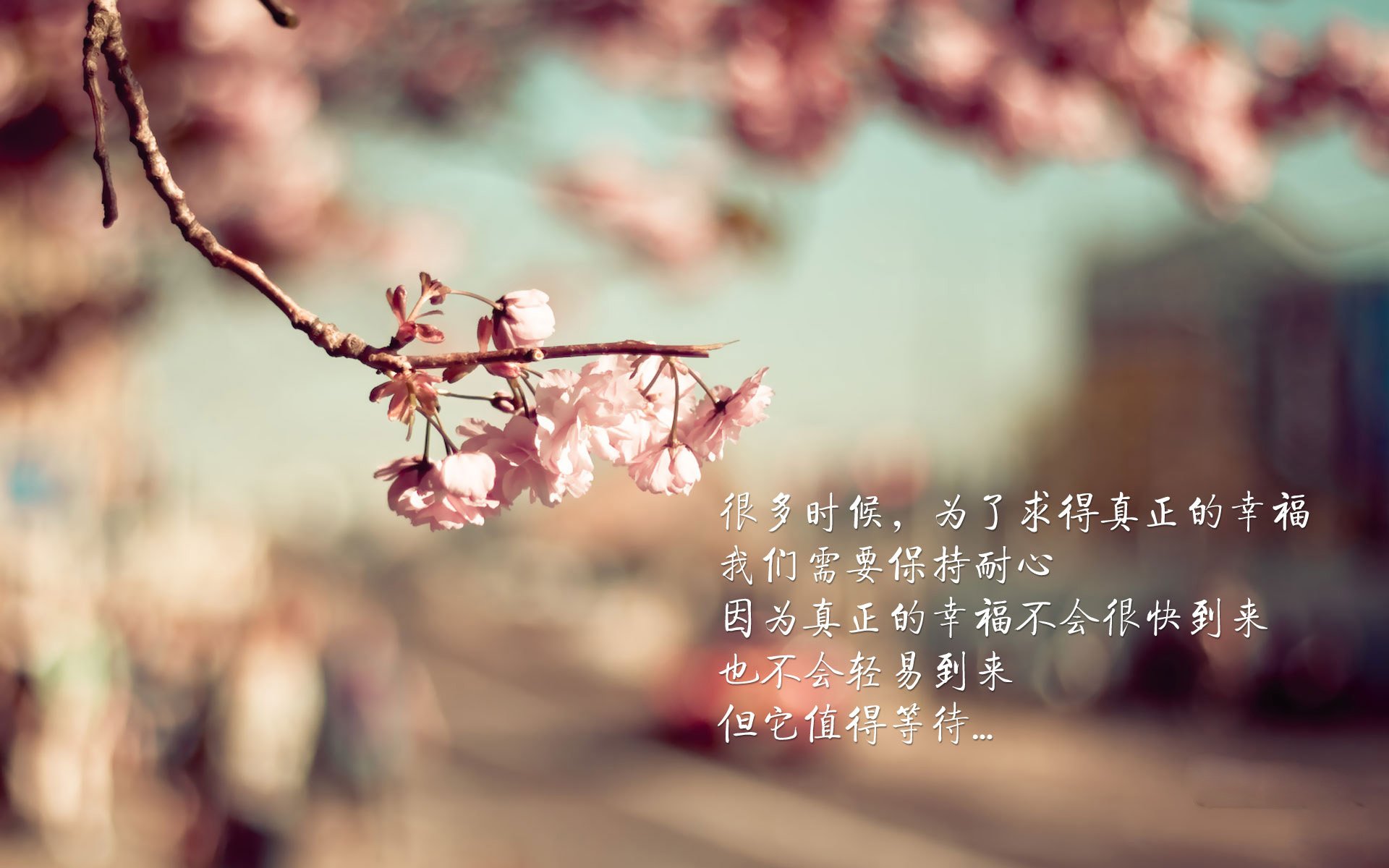 2026世界杯A组悬念破灭,智利5-1摧枯拉朽,罗德里戈一人定义不可复制的经典