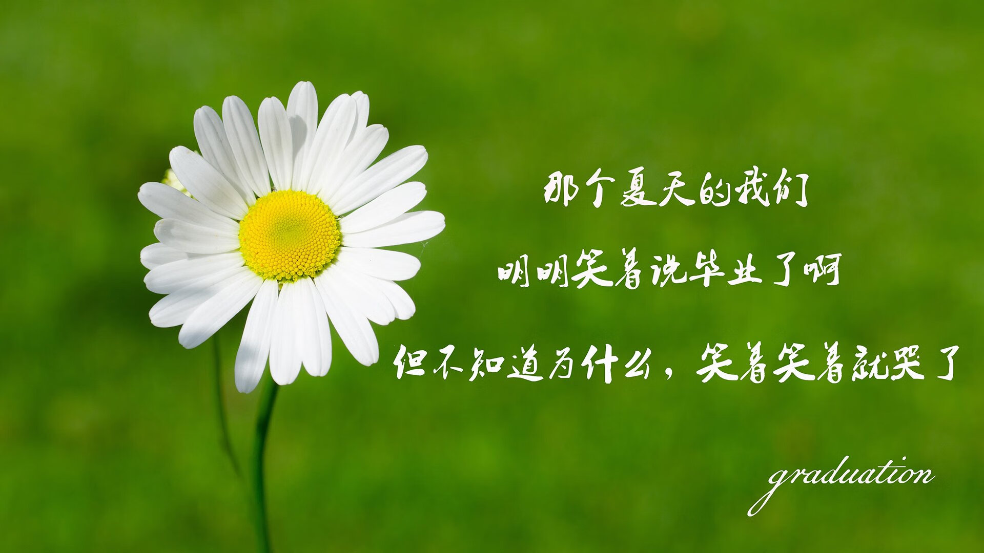 秘鲁奇迹,莱万多夫斯基归化首秀主导比赛,中场控制成制胜关键—2026世界杯D组焦点战纪实