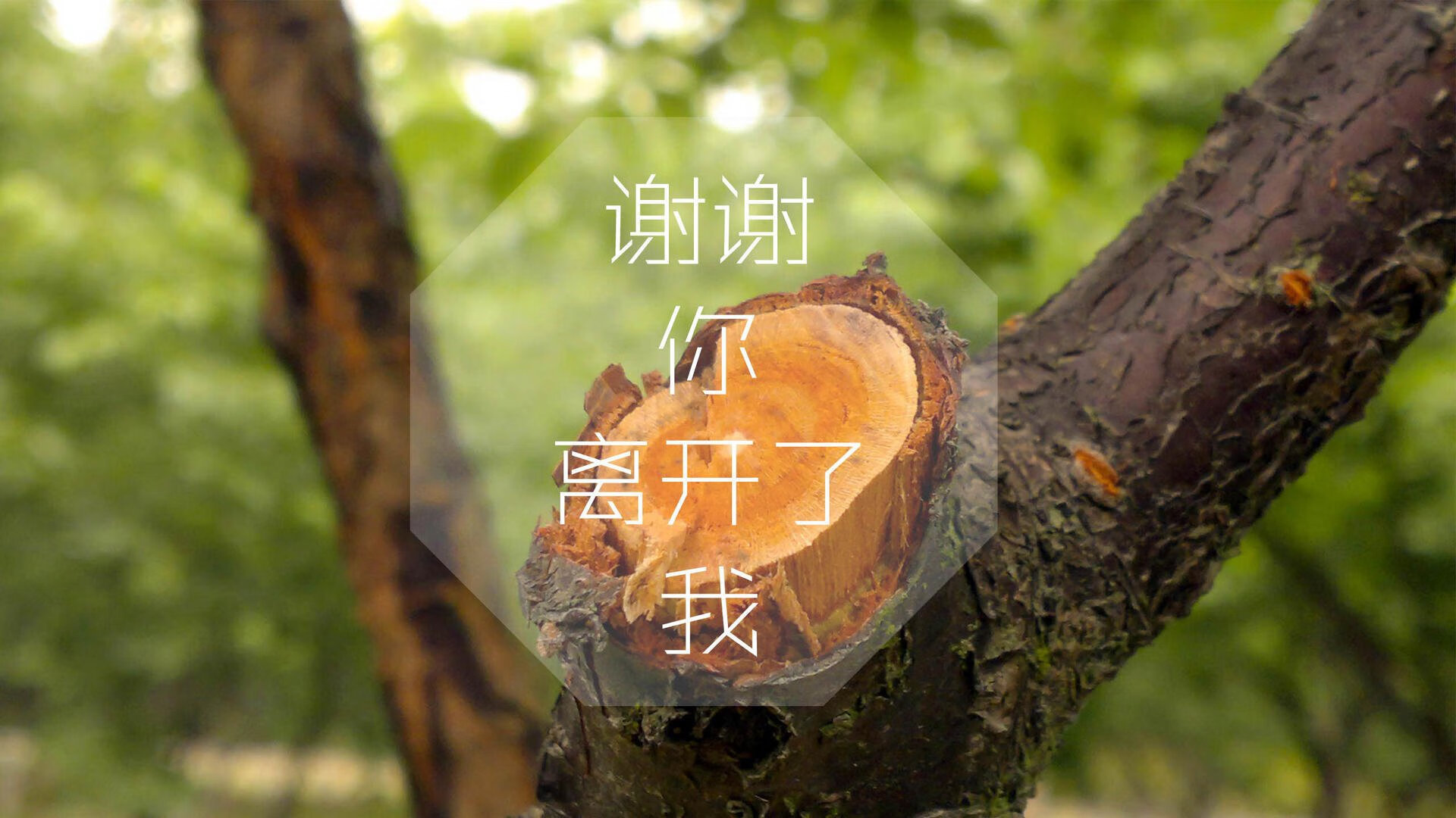 倒流的时光与唯一的光束,当瑞士在2026年用费利克斯的利刃,刺破罗马尼亚的镜像