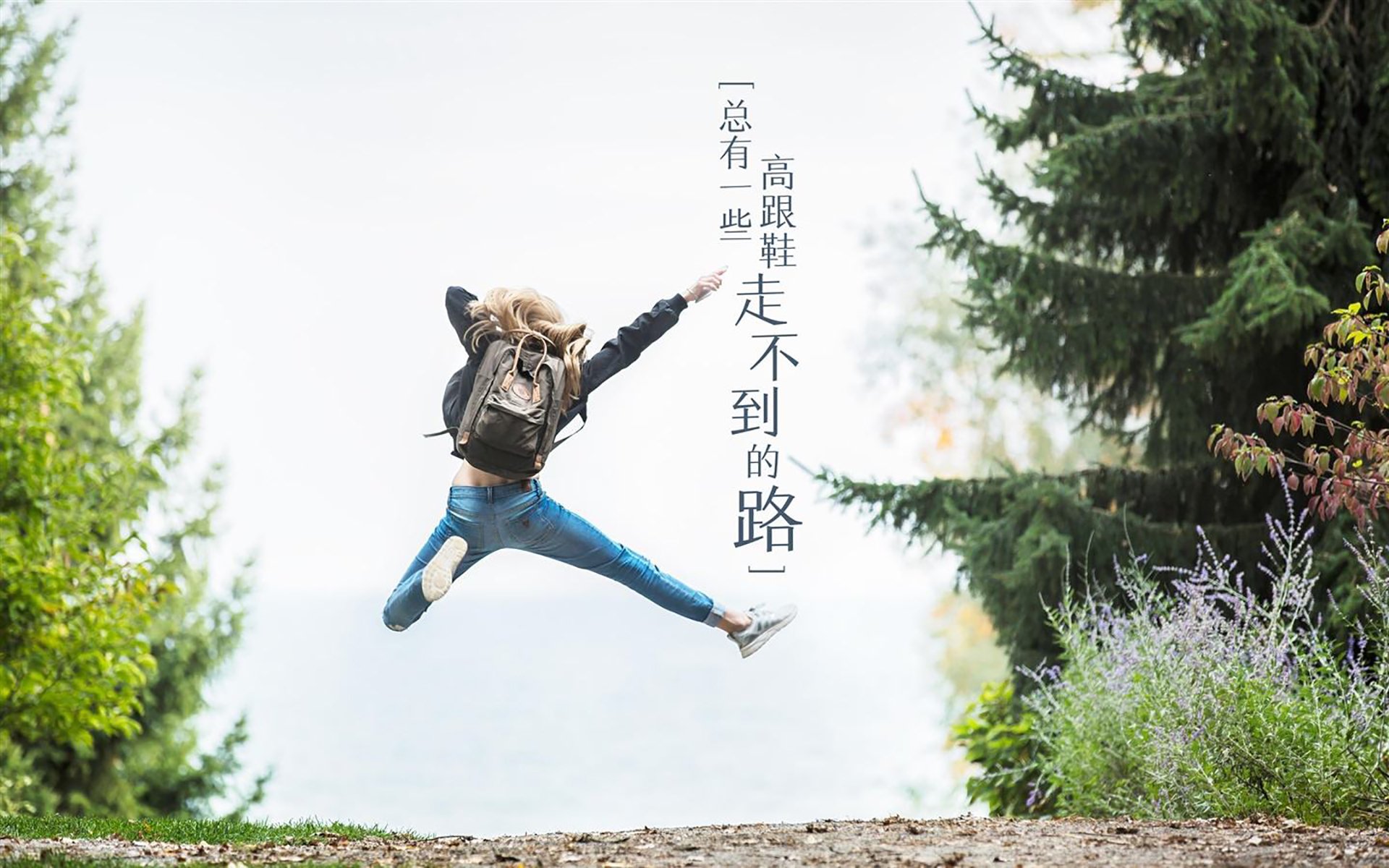 冰与火之歌，2026世界杯B组，枫叶之国的致命反击如何颠覆东瀛风暴